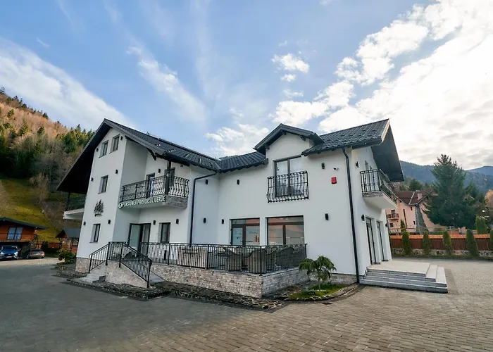 Pensiunea ParadisulPensiune